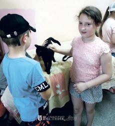 В гостях у «пушистиков»