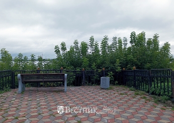 Склоны – в клёнах