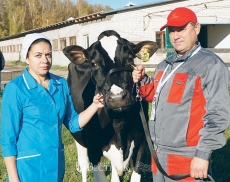 Золотая медаль с «Золотой осени»
